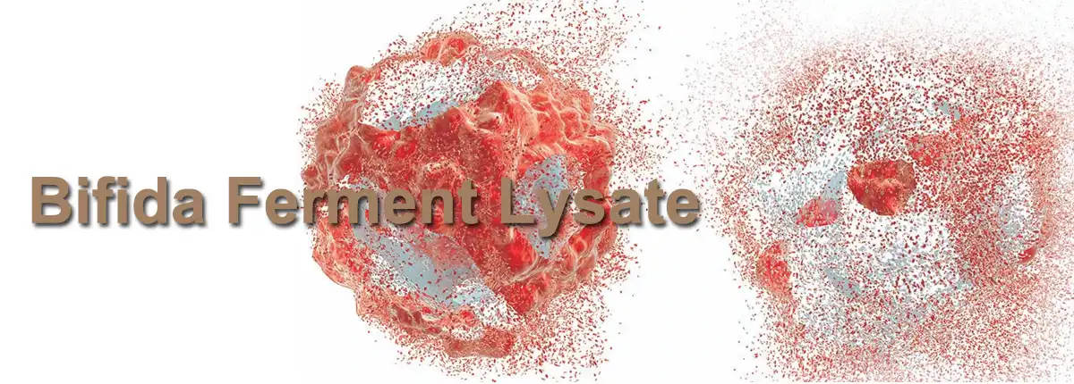 Bifida Ferment Lysate Sale.jpg